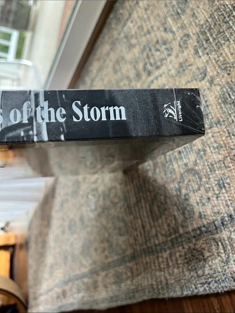 1964: Eyes of the Storm hardcover NWT book by Paul mcCartney
